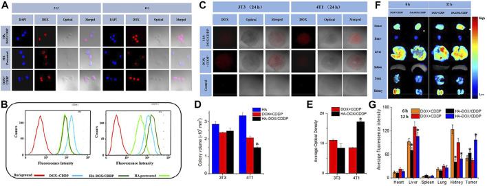 FIGURE 3