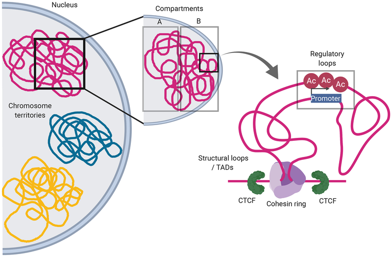 Figure 1: