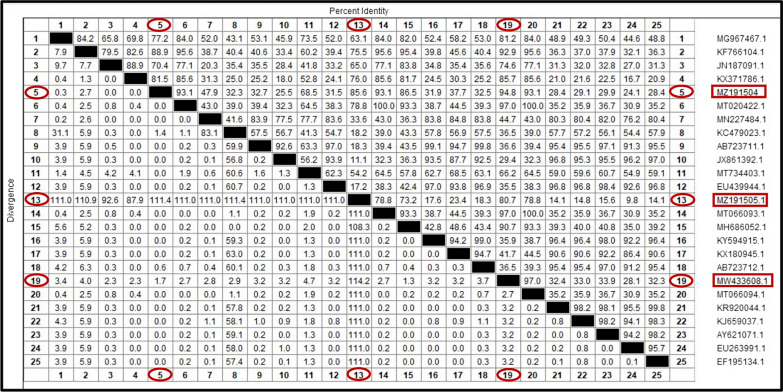 Fig. 12