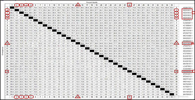 Fig. 10