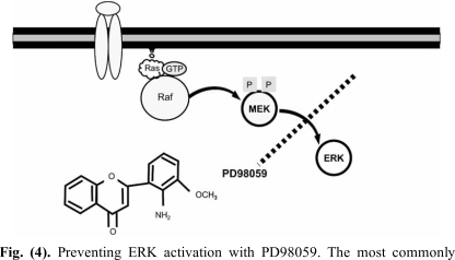 Fig. (4)