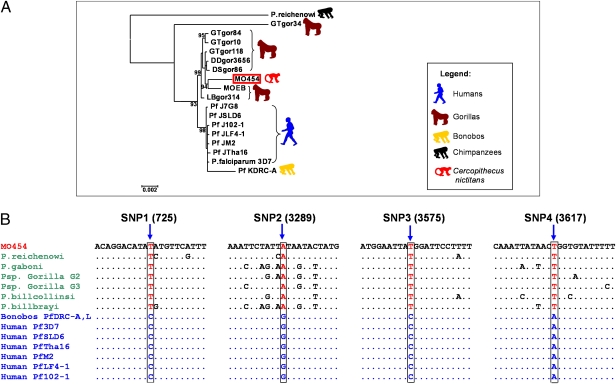 Fig. 4.