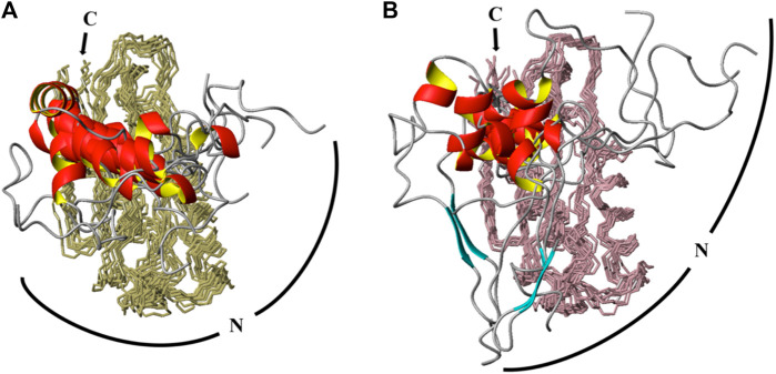 FIGURE 4