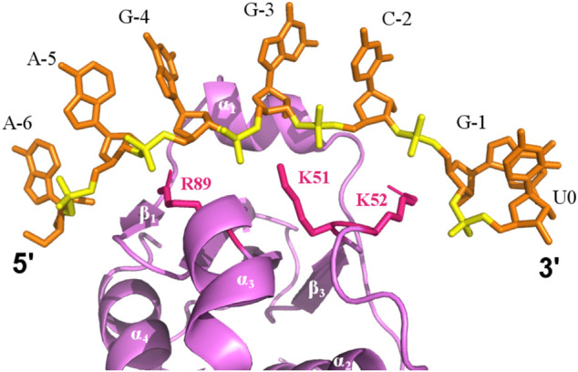 FIGURE 6