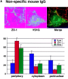 Figure 10.