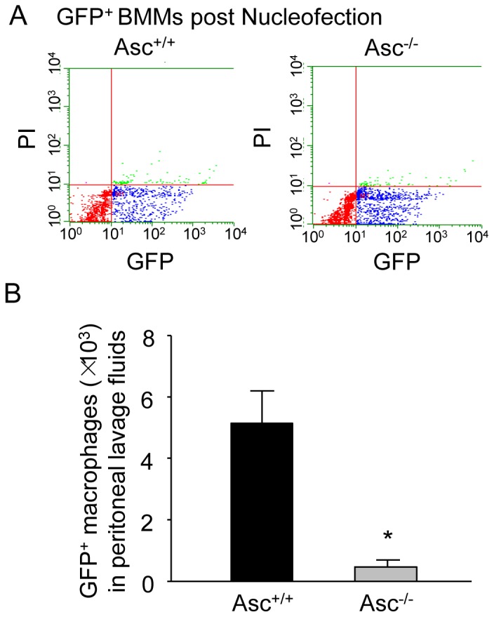 Figure 9