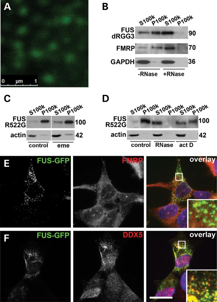 Figure 4.