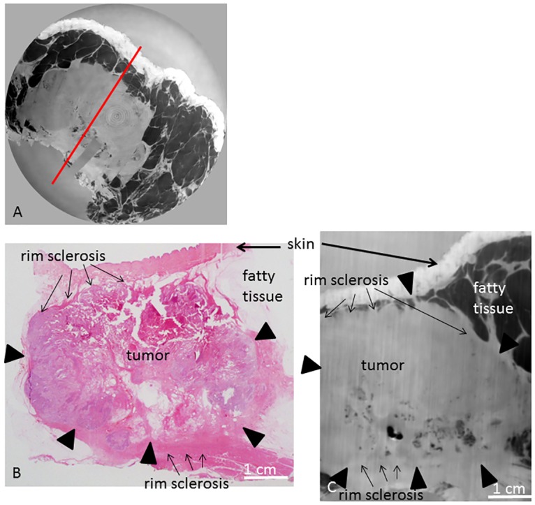 Fig 5