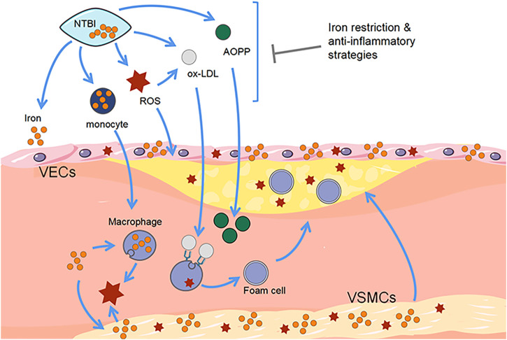 FIGURE 2