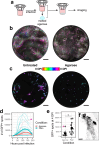 Fig. 4