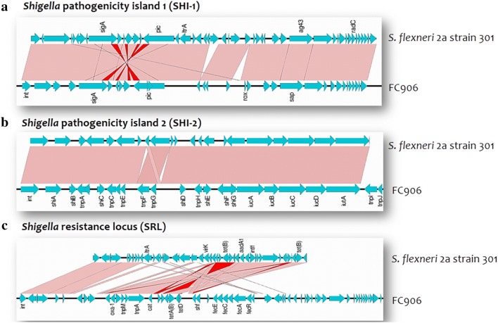 Fig. 2