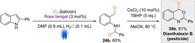 Scheme 7