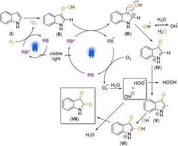 Scheme 8