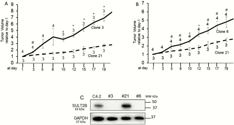 Figure 6.