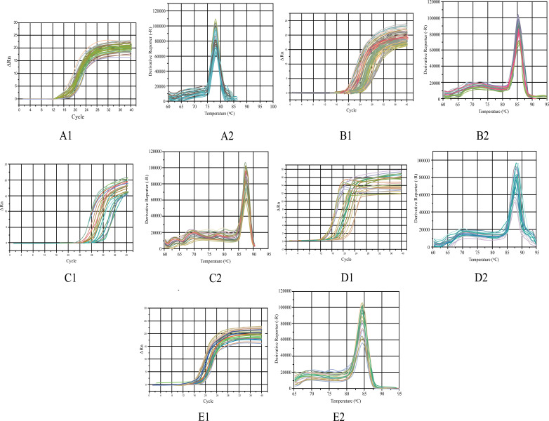 Fig. (1)