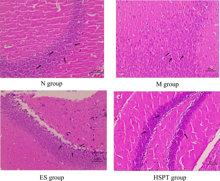 Fig. (2)