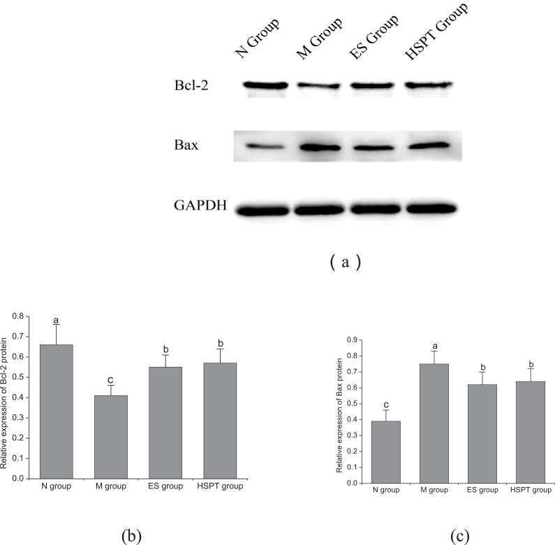 Fig. (3)