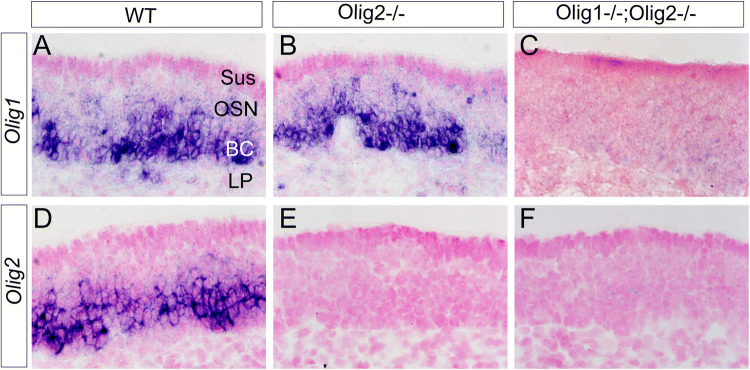 Fig. 3
