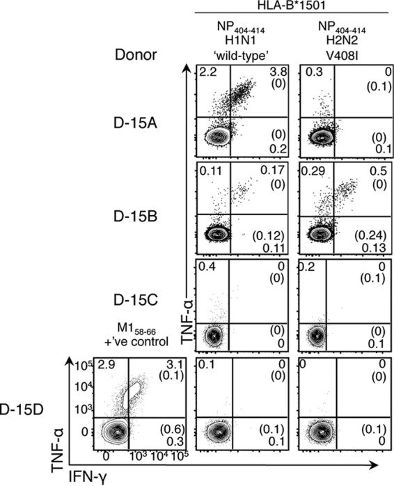 FIG 5