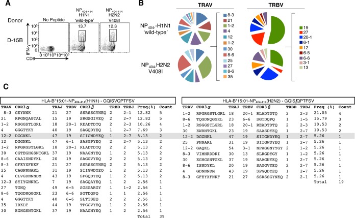 FIG 6