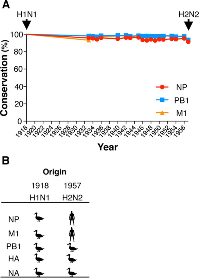 FIG 2