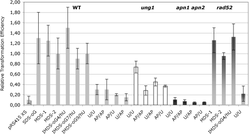 Figure 2.