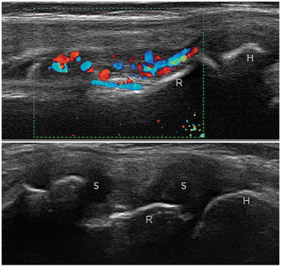 Figure 19.