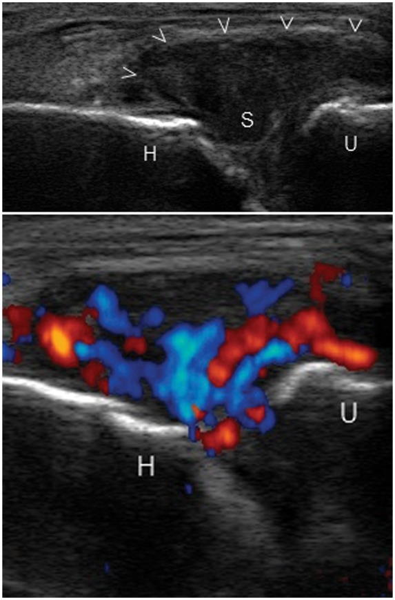 Figure 4.