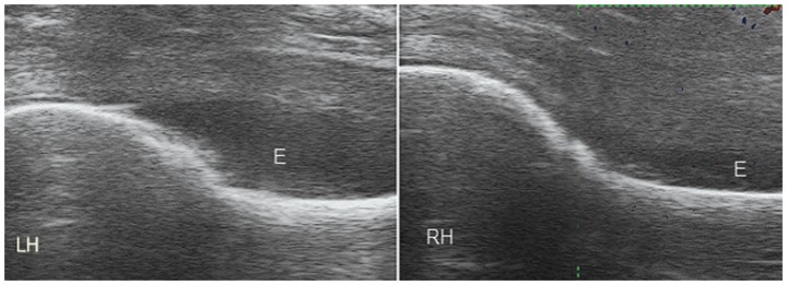 Figure 16.