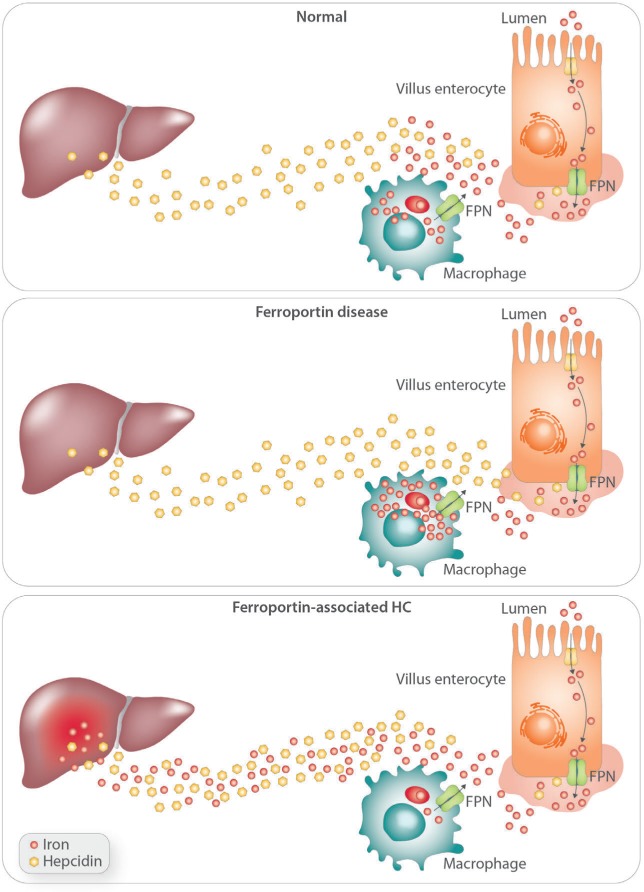 Figure 2.