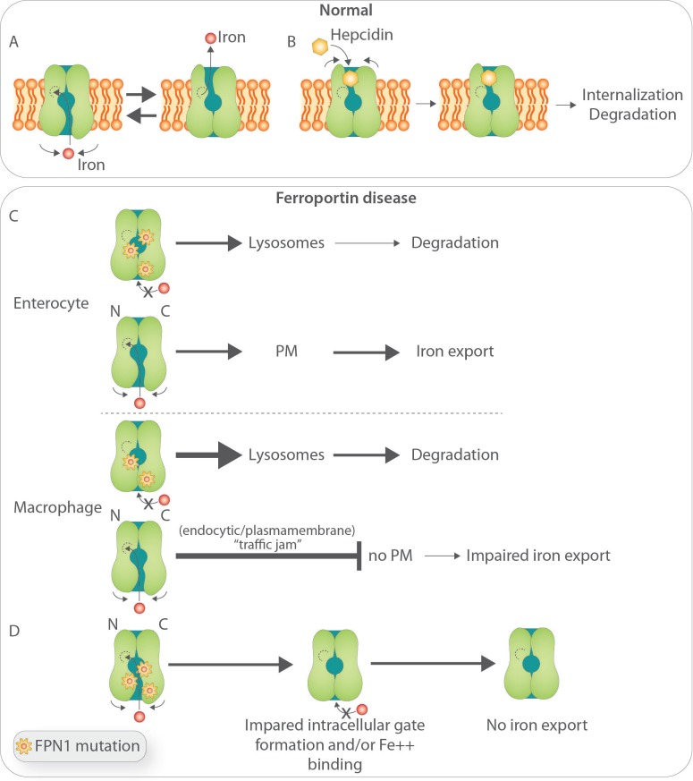 Figure 1.