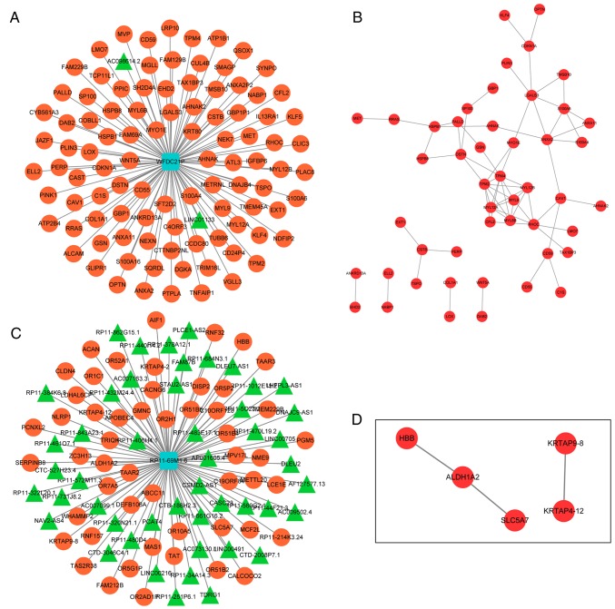 Figure 6.