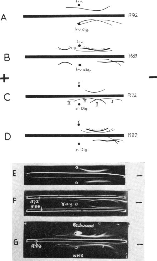 FIG. 9