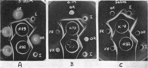 FIG. 12