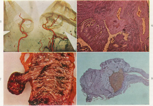 Fig. 5., Fig. 6., Fig. 7., Fig. 8.