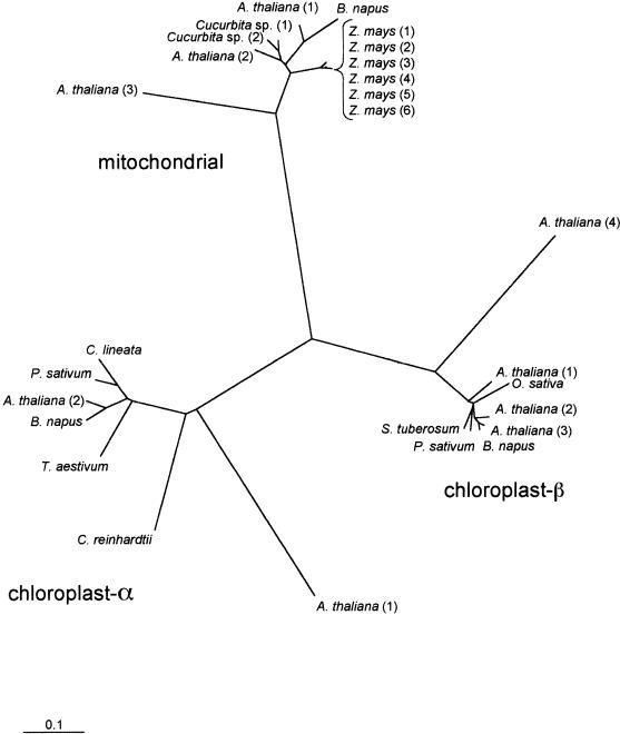 Fig 1.