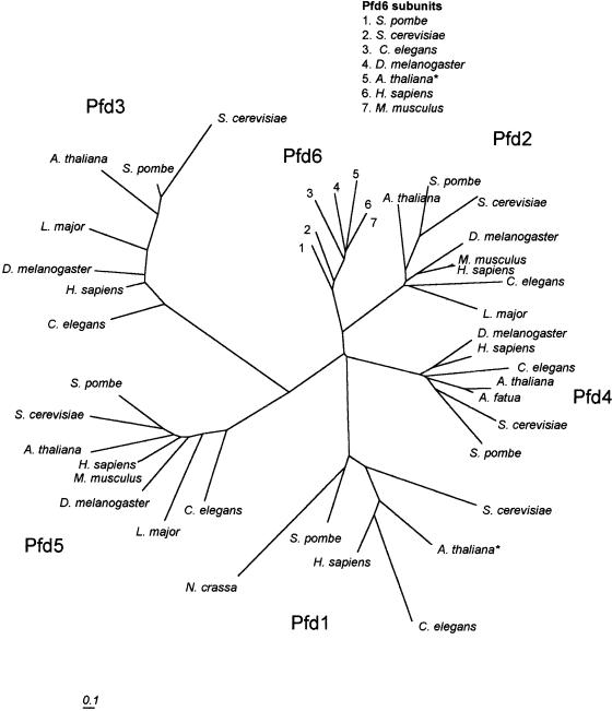 Fig 5.