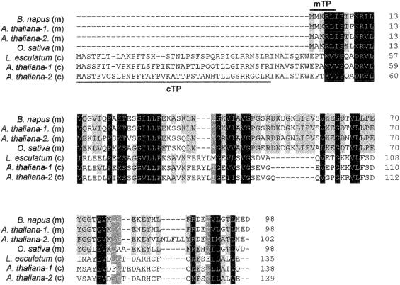 Fig 2.