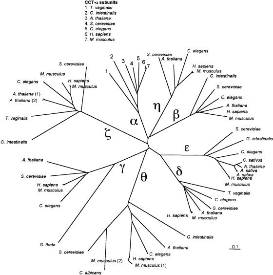 Fig 4.