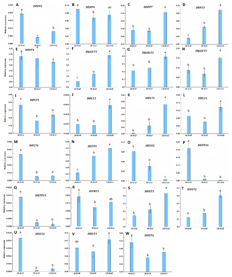 Figure 10