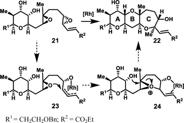 Scheme 5