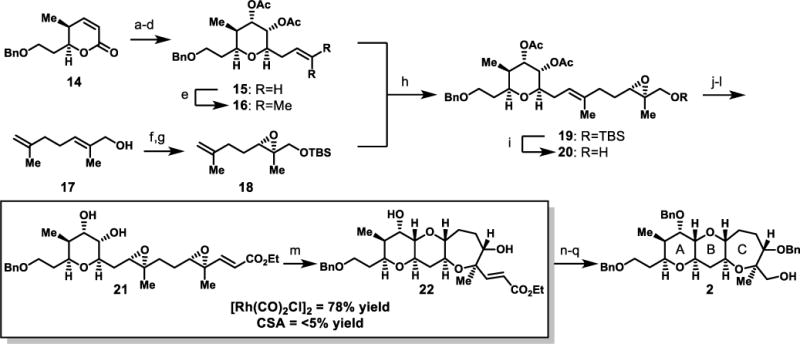 Scheme 4