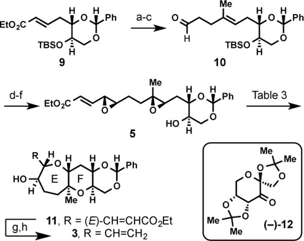 Scheme 3