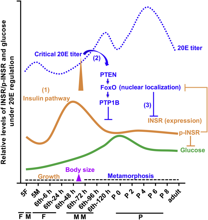 Figure 10