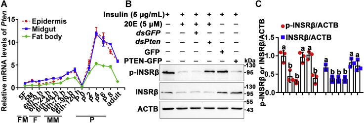 Figure 5