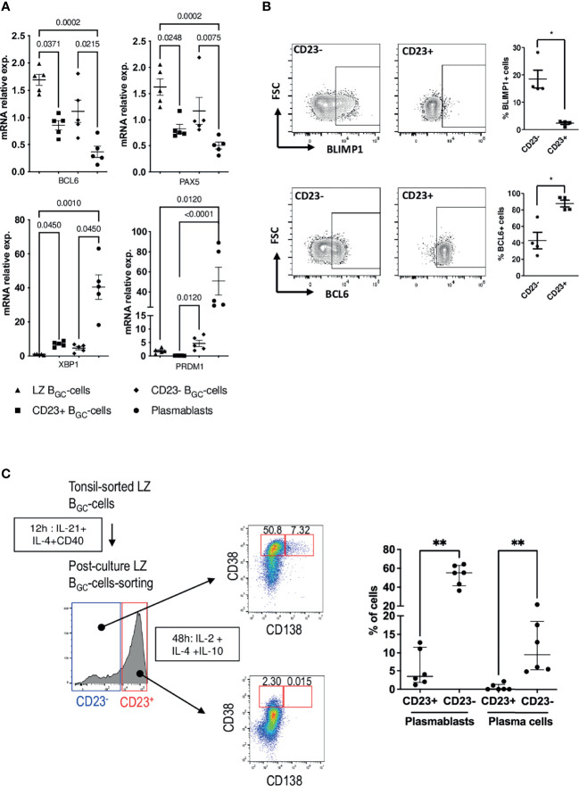 Figure 4