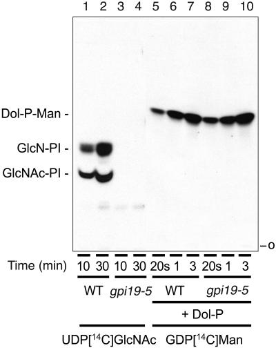 FIG. 5.