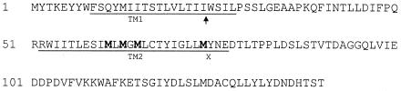 FIG. 6.