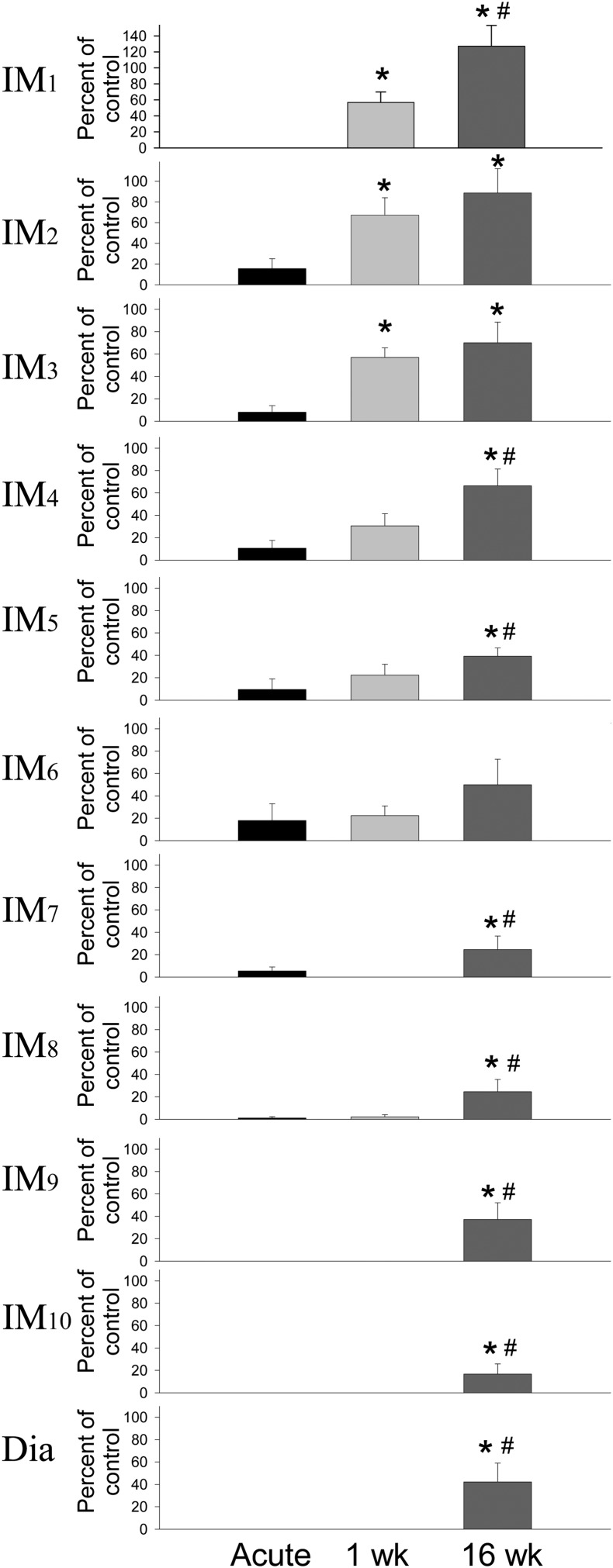 Figure 3 