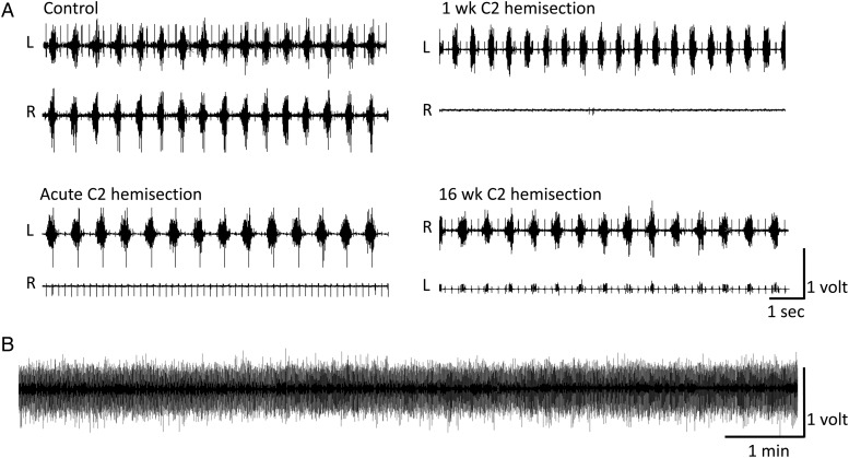 Figure 1 